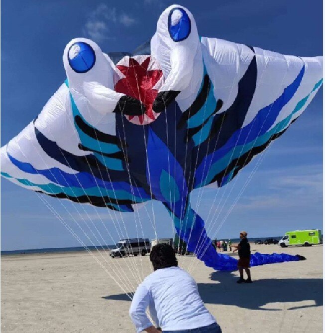 Wind sock 3d ripstop soft kite koinobori kite flying ..